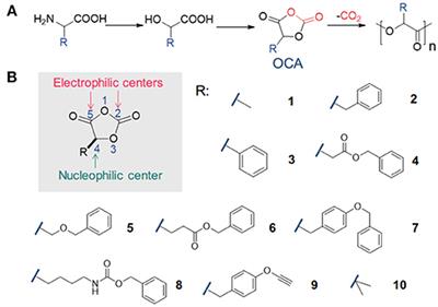 Living Ring-Opening Polymerization of O-Carboxyanhydrides: The Search for Catalysts